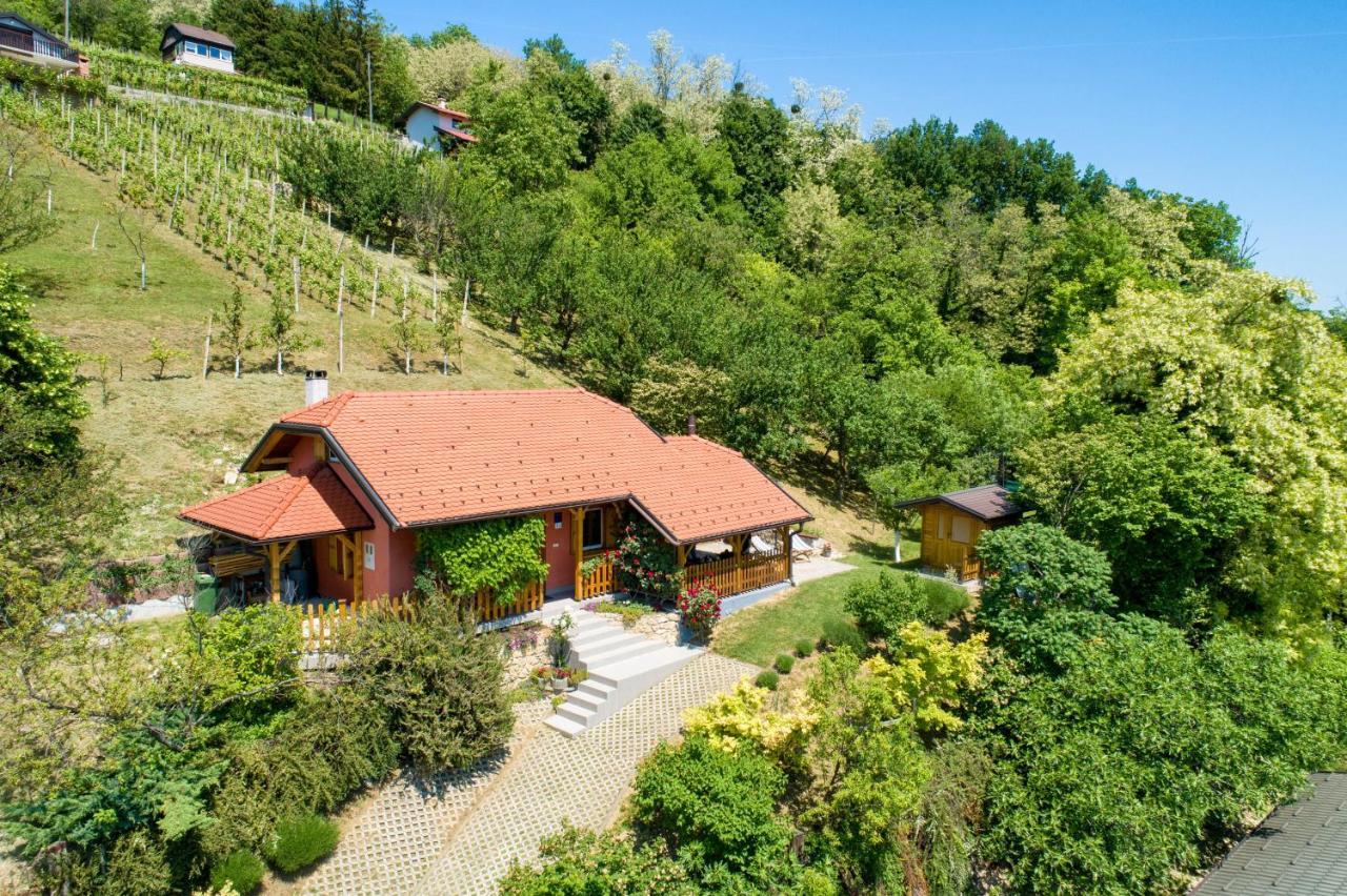 Kuca Za Odmor Hiza I Vila Krapina Exterior foto